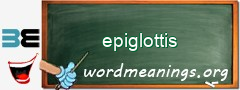 WordMeaning blackboard for epiglottis